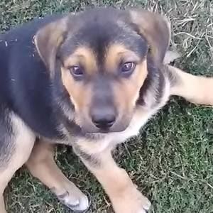 Meet your Posher, Toni